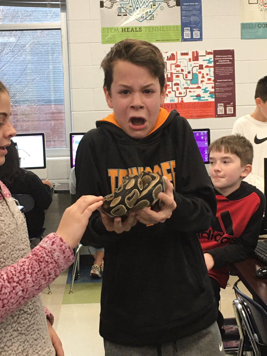 cgarrison5526's tweet photo. When you are -dying- to get your hands on the snake mentally, yet not quite ready physically. Highlight of my day. #wheresherhead #somonetakeheralready #themanyfacesofsweeney #persephonethepython @PetsinClassroom @LauriJonesSwee3 #psmsProgramming @PSMSBulldogs https://t.co/91mzBVHMd0