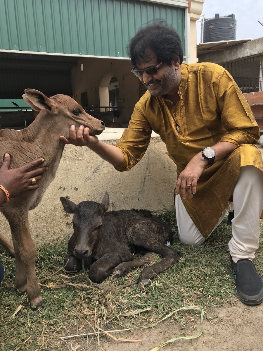 Actor_Vivek's tweet photo. வண்டி இழுக்கும் நல்ல குதிரை- நெல்லு வயலில் உழுது வரும் மாடு அண்டிப் பிழைக்கும் நம்மை ஆடு- இவை ஆதரிக்க வேணுமடி பாப்பா- மகா கவி பாரதியார்! Happy mattu pongal...! https://t.co/dEPwDvxZr5