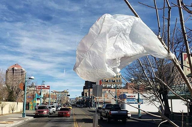 weeklyalibi's tweet photo. ๐ซ @lostprophet75 considers ABQ's new plastic bag ban a step in the right direction for our city at ๐ซ https://t.co/Yp0kkvNlIO. ๐ท: Dan Pennington #abq #burque #weeklyalibi #plasticbagban #environment #pollution #foodforthought #newmโฆ https://t.co/NBnzeMhmoC https://t.co/lz4SQu50YI