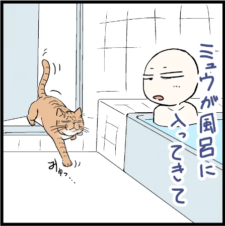 ミュウくん定期的にコレをやるんだよなぁ～w#猫のいる暮らし 