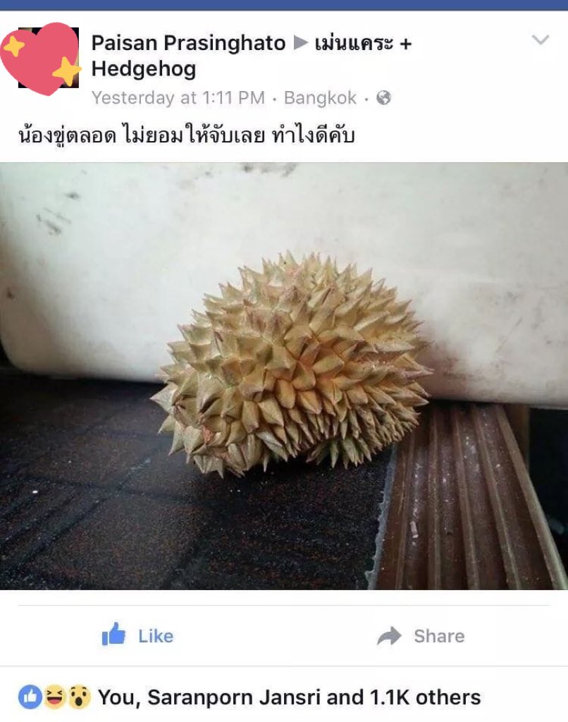 บีเวอร์กังวล tweet media