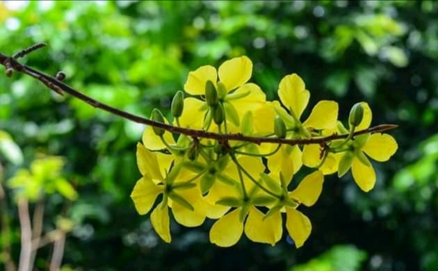 luthfulgaani tweet media