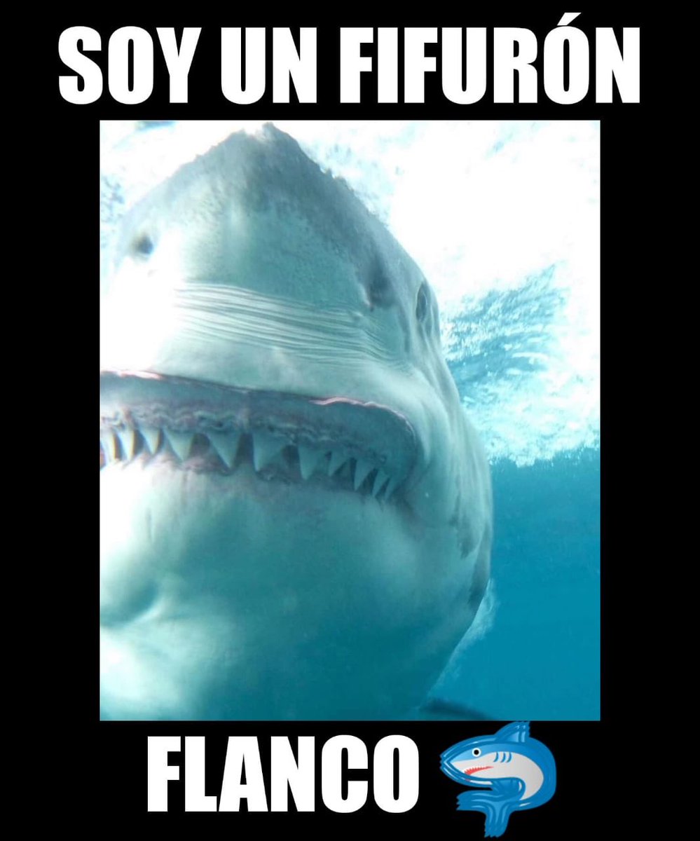 Noah M Garza (@garza1_noah) on Twitter photo 