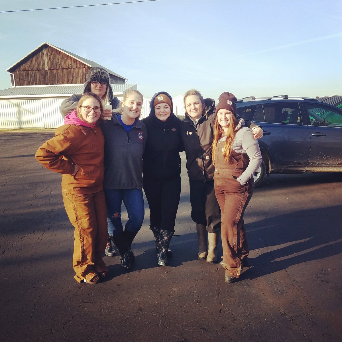 Britbee78's tweet image. Tackled some sheep to the ground, gave them vaccines, took their blood, and dewormed them! I&apos;m getting the hang of this technician thing!! #vettechstudent #farmlife #carharttcrew