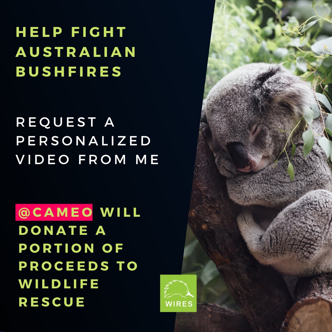 During this tough time for Australia and <a href="/BookCameo/">Cameo</a> initiative to support efforts rescuing wildlife, I have joined the platform and will be donating 100% of all proceeds to bushfire relief. Funny, serious, educational or more, get your request in now. cameo.com/jackwilsongolf
