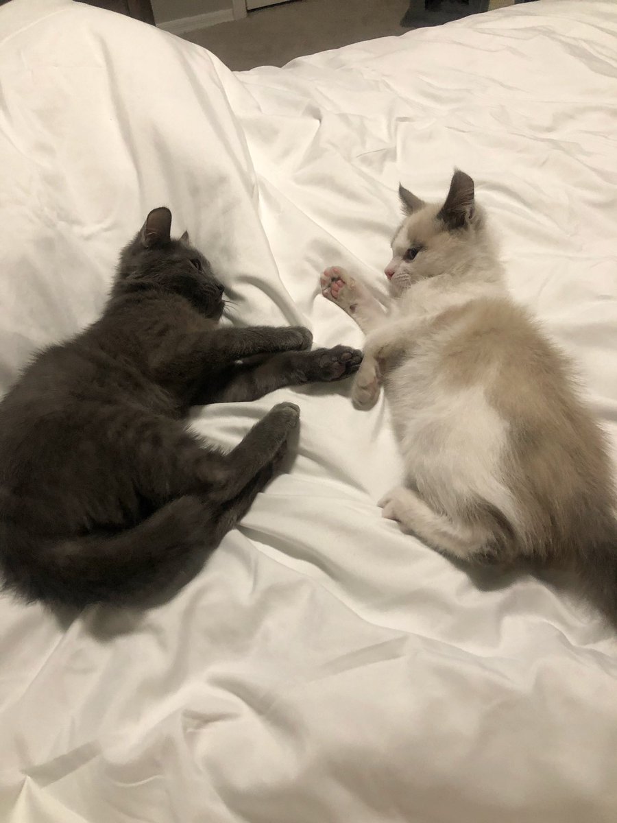 besties