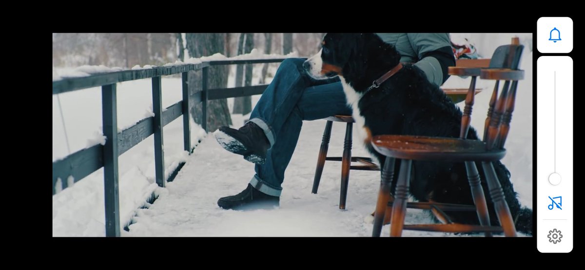 Iruka At Official髭男dismの新曲 I Love のmvに写ってる犬が多分犬種 バーニーズマウンテンドッグだから みんな調べて欲しい すごい可愛いから すっっっごい可愛いから Iruka At Official髭男dismの新曲 I Love のmvに写ってる犬が多分犬種 バーニーズマウンテンドッグだから みんな調べて欲しい すごい可愛いから すっっっごい可愛いから
