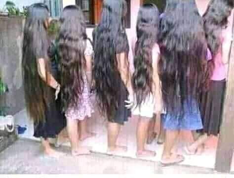 El sueño de todo piojo. 😂😂