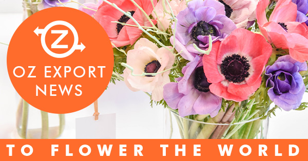 OZ Export tweet media