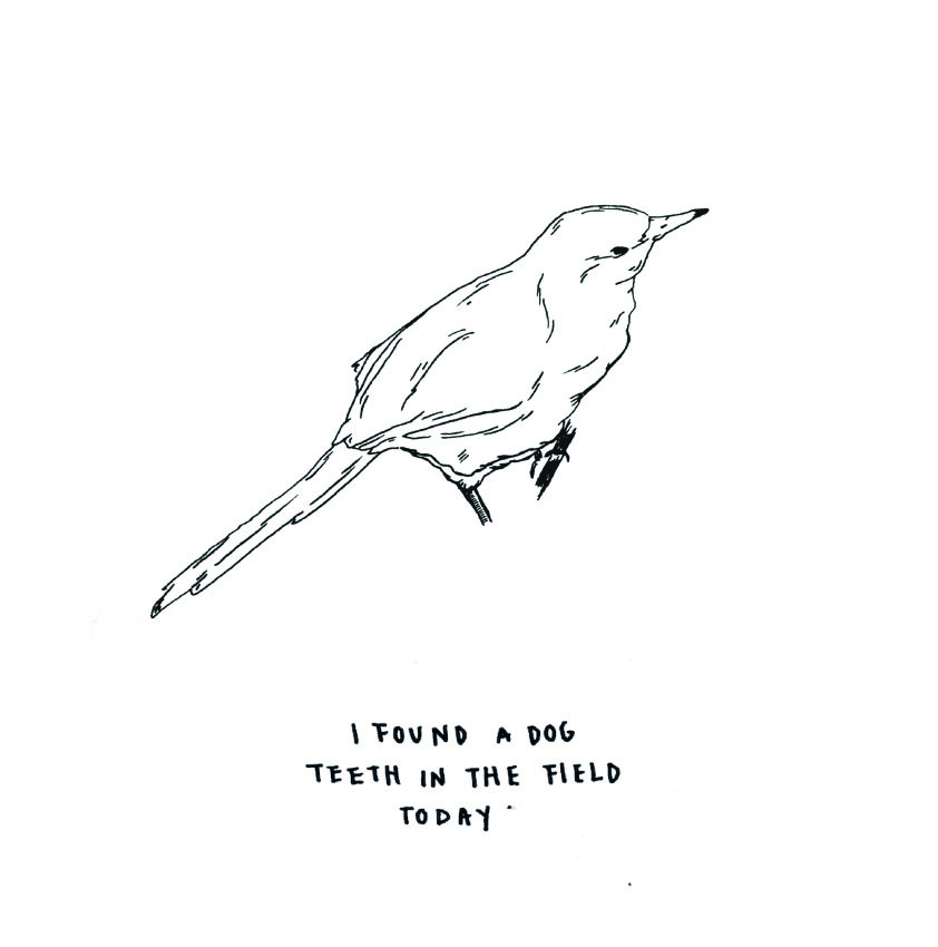 Dès aujourd'hui, le weekend de clôture de Traversées \ Kimsooja commence !
ow.ly/3GSC50xUQ9w
#traverseeskimsooja #poitiers #traverseespoitiers