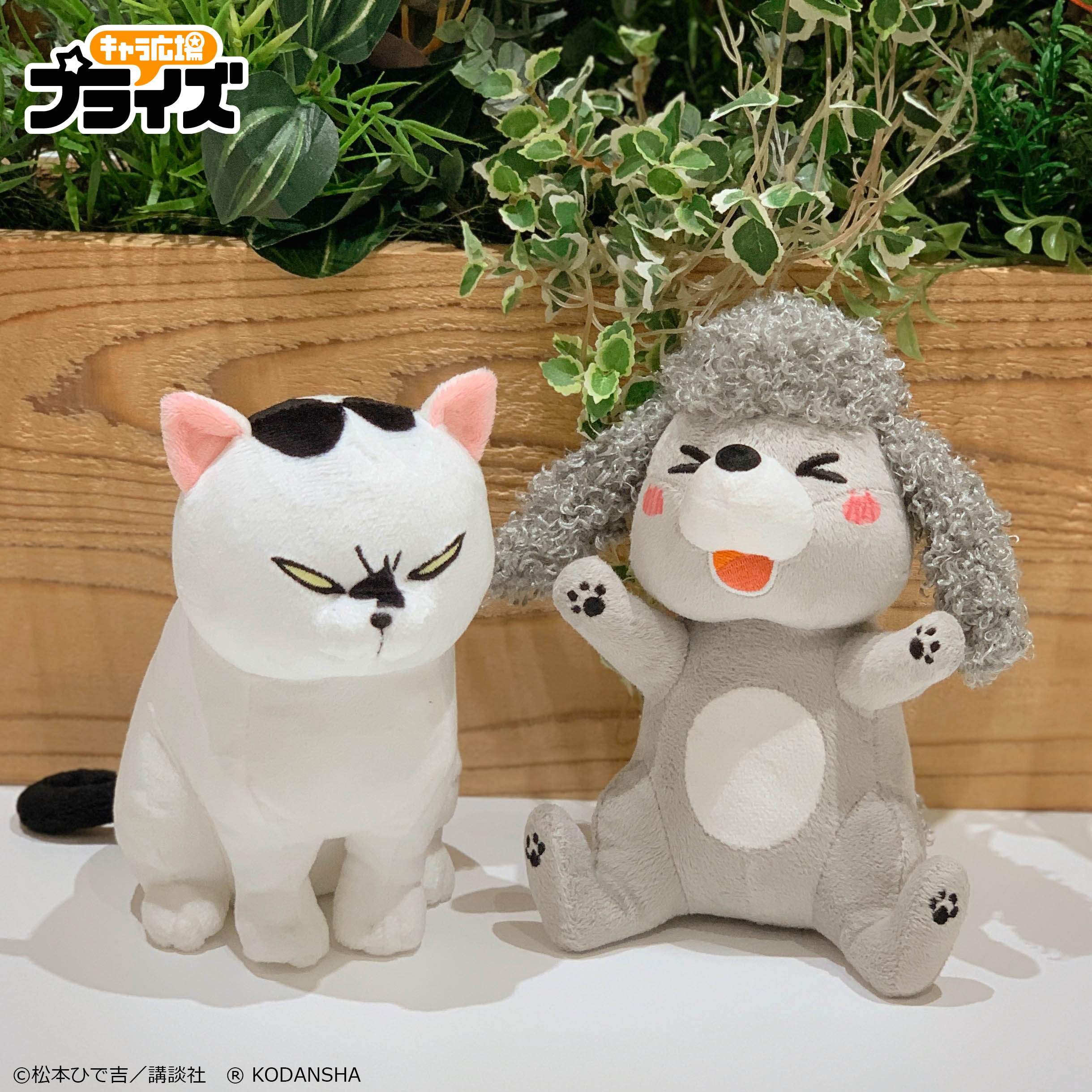 フリュー公式 Prize Info 犬と猫どっちも飼ってると毎日たのしい 最新クレーンゲーム景品をご紹介 お座りポーズの ぬいぐるみと 可愛いイラストがプリントされたブランケットが1月下旬より順次登場します くわしい情報はコチラ T Co