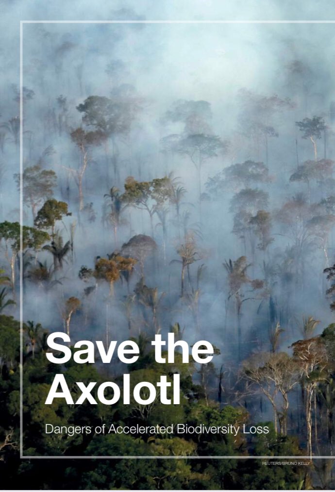 Dr Prue Addison tweet media