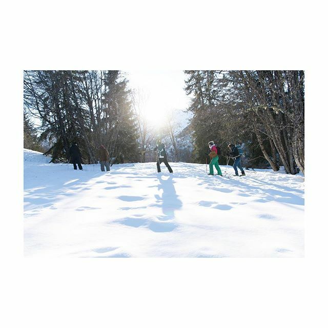 AlpineEscape's tweet image. This week we invited some guests who had never been to Courchevel to experience all it had to offer. With perfect ski conditions and sunny days they have been skiing, snow shoeing, massages in the chalet and sampled alpine cuisine and wine tasting. Check… ift.tt/2NwDKgH