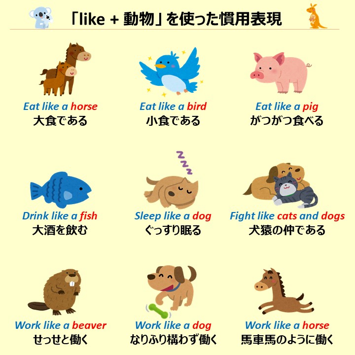 こあたん こあらの学校 Like 動物 を使った慣用表現 T Co Xfwfjzditi Twitter こあたん こあらの学校 Like 動物 を使った慣用表現 T Co Xfwfjzditi Twitter