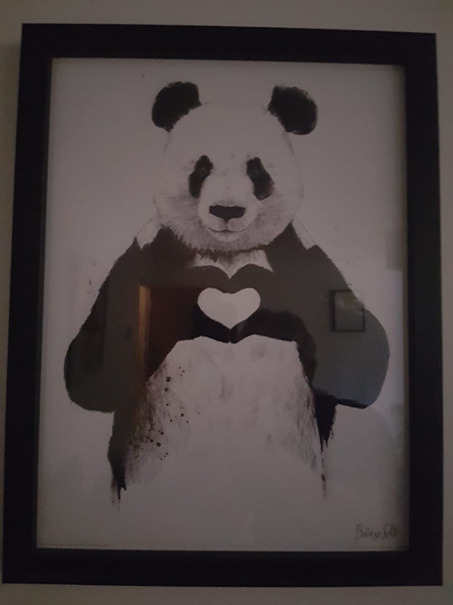BirthHills's tweet photo. What a busy morning with the team supporting the arrival two little girls for two families! Did you know that panda bears can swim? This little lady swam straight in to her mothers waiting arms #HomebirthJustHappened #HomeWaterbirth #Primip #Continuity @RSCH_Maternity https://t.co/IF6kxvv1mT
