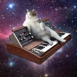 訳のわからない新しい文化!猫と音楽機材と宇宙との癒合が話題!