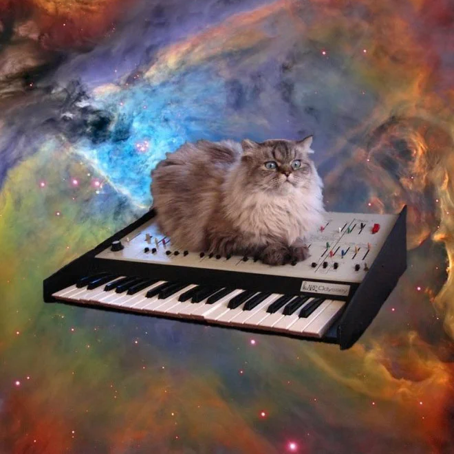 訳のわからない新しい文化www猫と音楽機材と宇宙との癒合が話題www