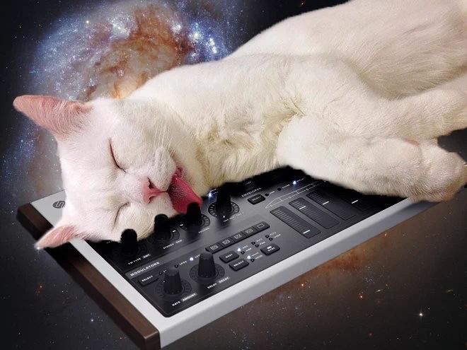 訳のわからない新しい文化www猫と音楽機材と宇宙との癒合が話題www
