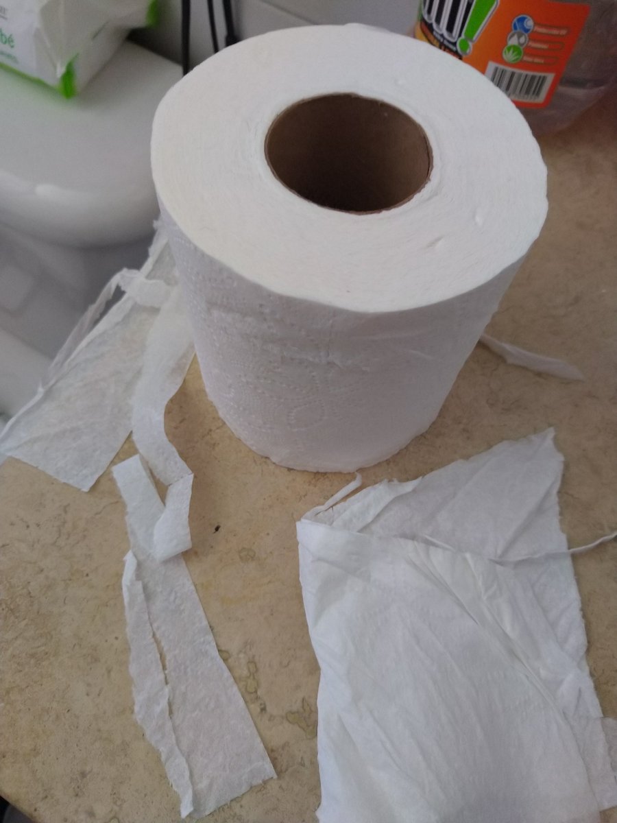 MaryCGuzman's tweet photo. Qué onda con #Costco y su papel de #Kirkland! Acaso lo enrolla el Joven manos de Tijera? https://t.co/vOhODDs1gT