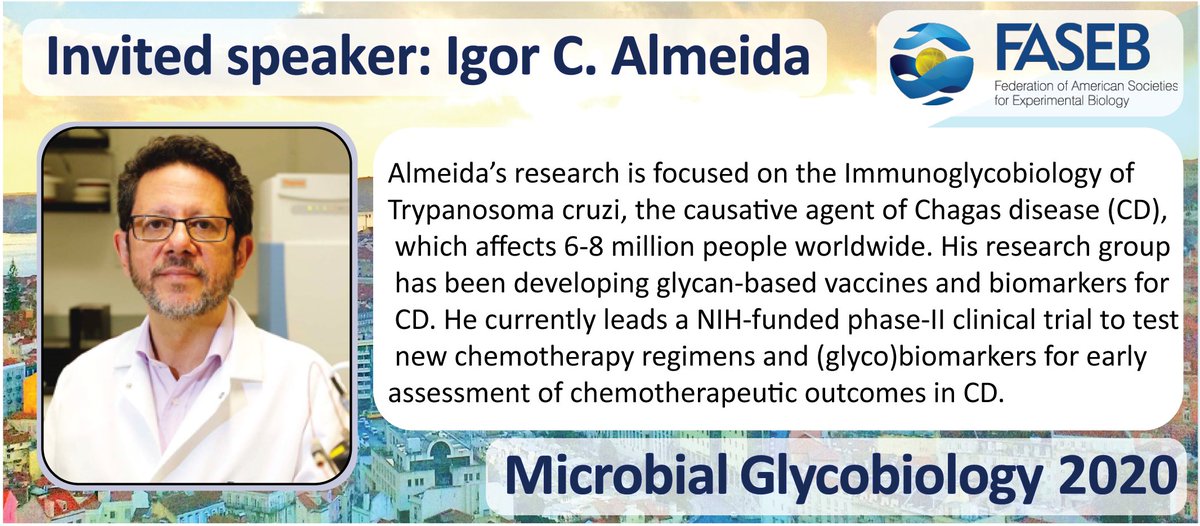 FASEB_Microbial_glycobiology_2020 tweet media