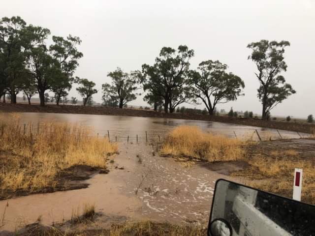 DaleDrinkwater's tweet image. Roads are blocked, paddocks are lakes and dams are full! 

#NSW #rain #boggabri #gunnedah @abcnews