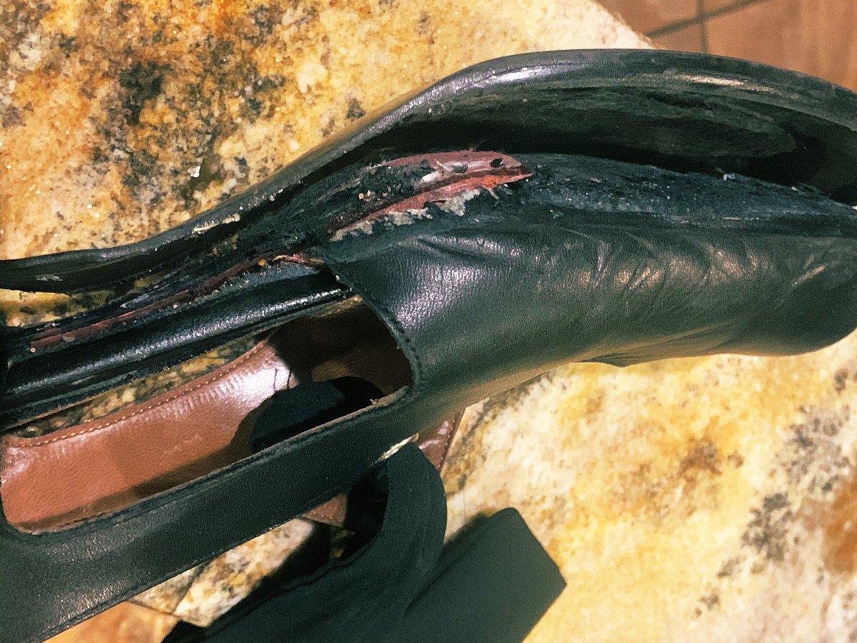 Bdropillon's tweet photo. 😢My vintage ‘80’s #dolcisshoes gave up today after 31years #fantasticinvestment ahh, reminiscing on hundreds of great times 💃 @BarrattsShoes #pumpupthejam #shoesweremadefordancing #leathershoeslastalifetime https://t.co/OlyKQwRtxH
