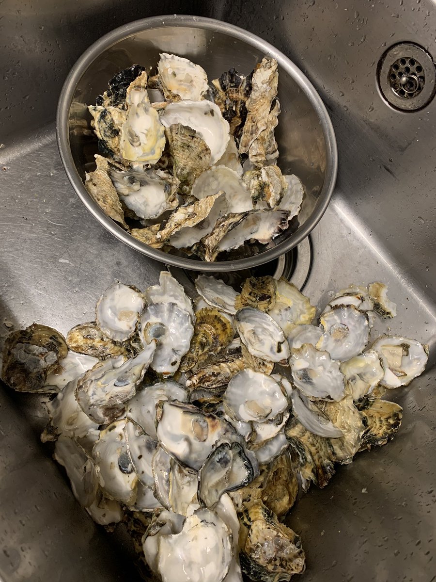 RyoRocker4649's tweet photo. 1人で牡蠣40個食べた代償はトイレの回数が増えただけでした。 https://t.co/T6QzZgZjMg