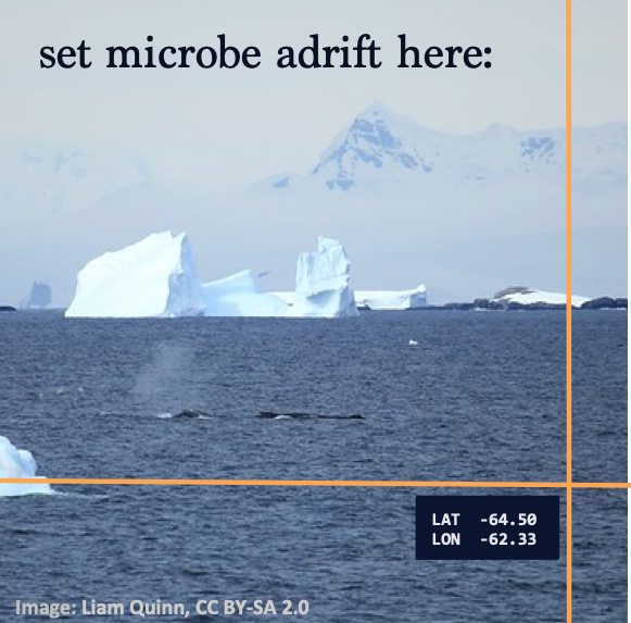 adrift_project's tweet photo. Whale poop plays an important role in nutrient cycling upon which marine microbes depend. Whales bring nutrients up from the depths where they feed to the surface where they poop. A nutrient cycle once nearly lost to hunting is now at risk from climate change. But you can help! https://t.co/J5aUc4CoG0