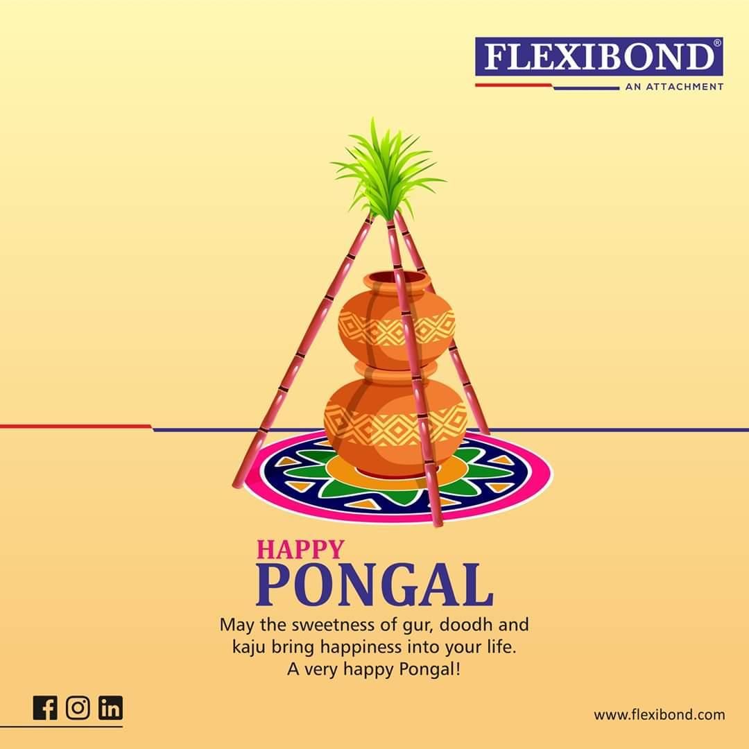 flexibond's tweet photo. HAPPY PONGAL

May the sweetness of gur, doodh and kaju bring happiness into your life. A very happy Pongal!

#flexibond #pongal #tamil #karnataka #happy #hyderabad #chennai #festival #makarasakranti #festivalsofindia #venpongal https://t.co/874TPO5bIE