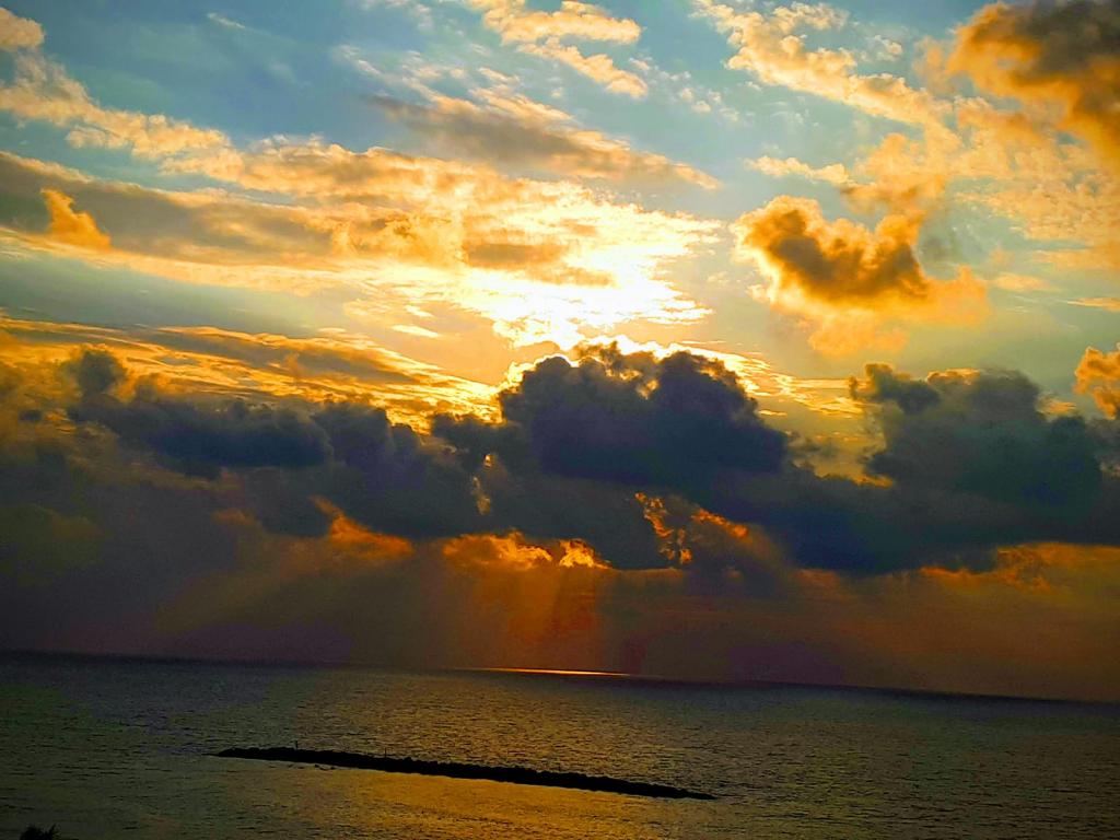 Sheraton Tel Aviv tweet media