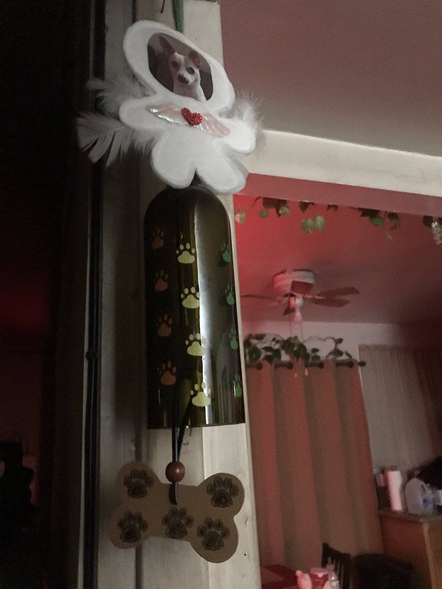LetMeBark's tweet photo. @jztkddng I still ring it like a bell every single time I come home ❤️ https://t.co/CBM75L21Jy