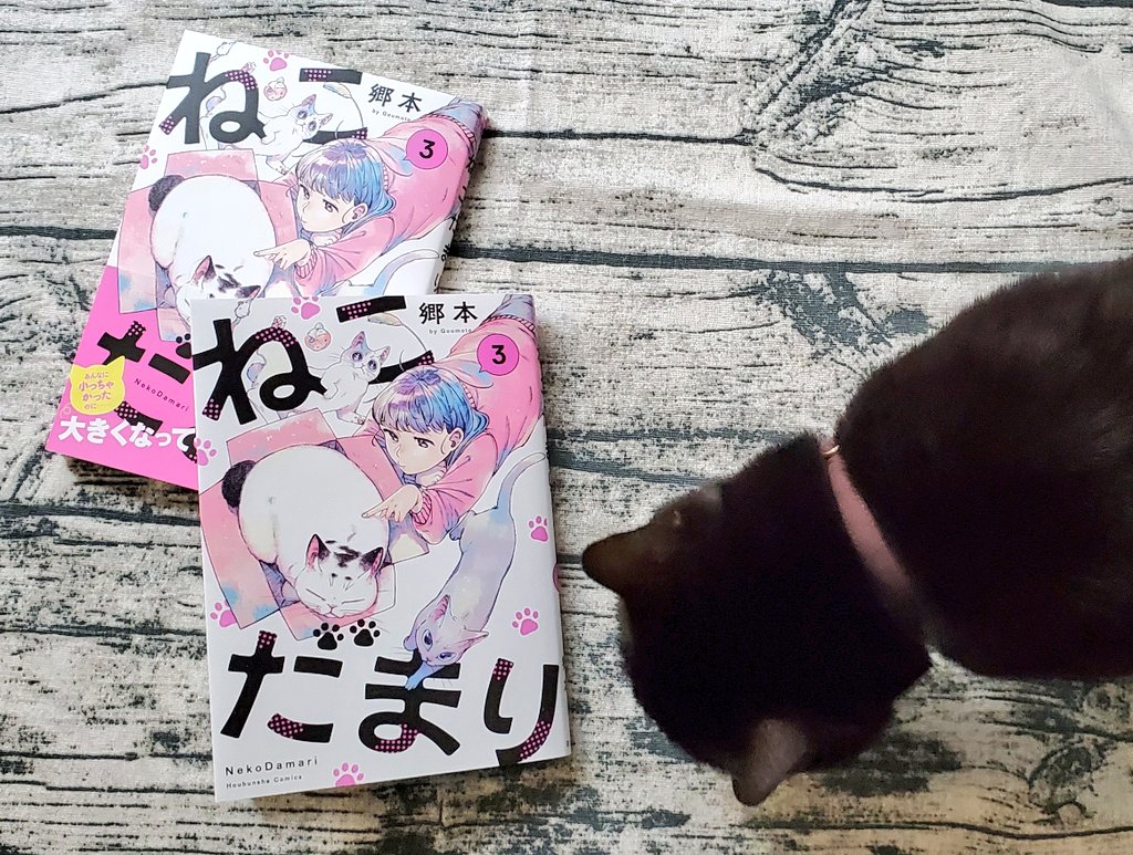 『ねこだまり』3巻、芳文社より本日16日発売です。よろしくお願いします。🐈🐈🐈🤦🏻‍♀️
https://t.co/T6L8957nlS 