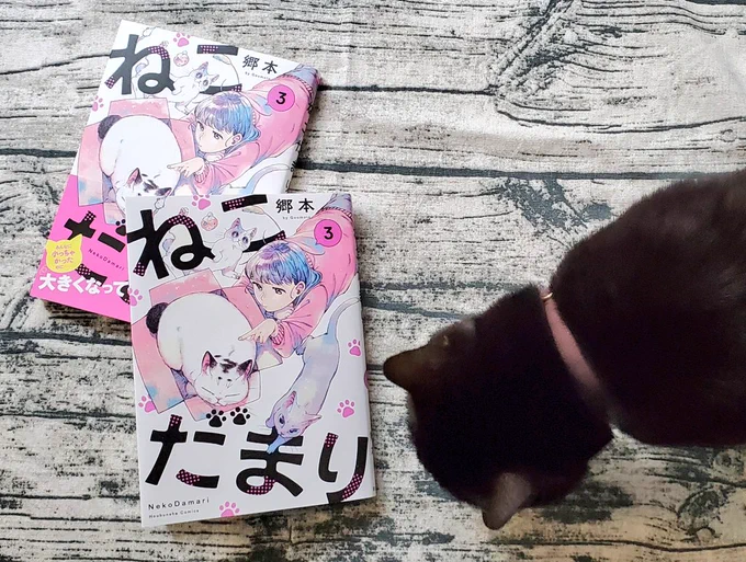 『ねこだまり』3巻、芳文社より本日16日発売です。よろしくお願いします。🐈🐈🐈🤦🏻‍♀️
https://t.co/T6L8957nlS 