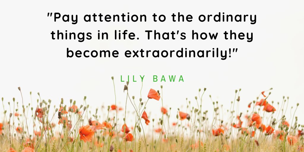 'Pay attention to the ordinary things in life. That's how they become extraordinary!'
-Lily Bawa
BodhiShishu

#mindfulparenting #meditationforkids #consciousparent #meditationquotes #mindfulnessquotes #mindfulliving
#HappyDay