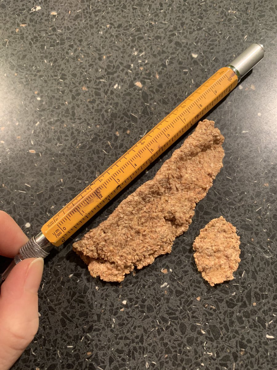 Spri4420's tweet photo. @AldiUK surely a contender for worlds largest bran flake? To quote #Jaws #ithinkineedabiggerbowl🤣 https://t.co/Ak0dhP4ple