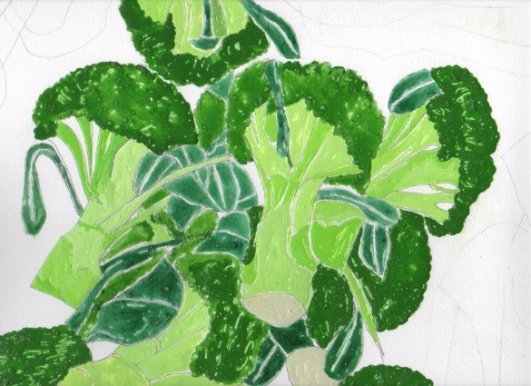冬野菜 冬野菜