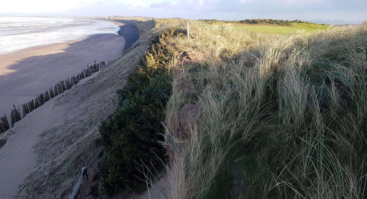 Tree work at Castlegregory. 👍🌲🎅