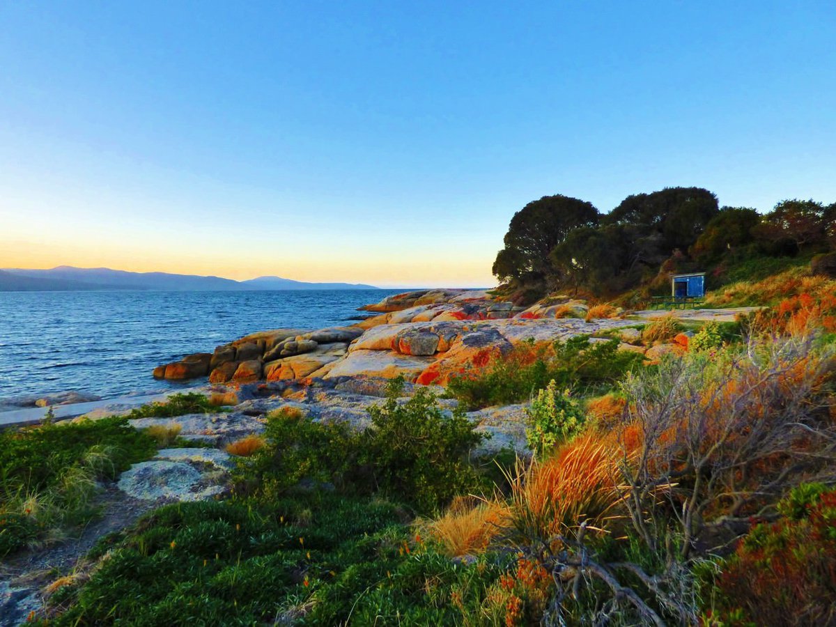 Bicheno is a gorgeous tiny little seaside town! You can explore the water on various Glass Bottom Boat tours, or why not venture out to see the gorgeous little penguins! #FreycinetNationalPark #Bicheno #eastcoasttasmania #greateasterndrive #bichenobeach zurl.co/4kZg