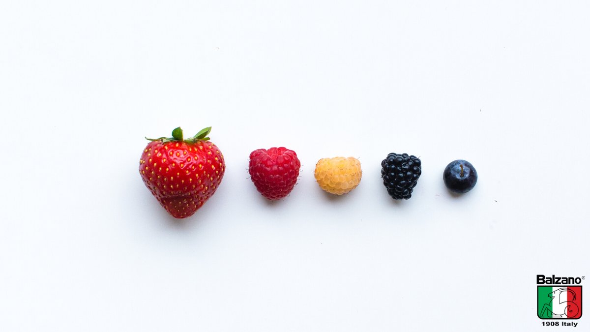 Balzano_IN's tweet photo. Just add your favourite one in the Balzano Bullet Blender and enjoy the perfect smoothie.

Shop your Blender Here - https://t.co/N8AfQgdw7S

#balzano #healthystylishlife #JustBlend #smoothie #banglorefoodies https://t.co/Bk21LbR9Vu