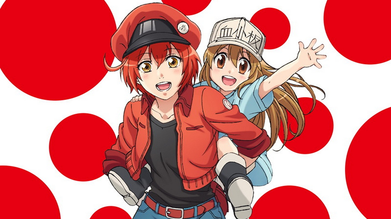 irpian's tweet photo. Download Anime Hataraku Saibou Subtitle Indonesia 
https://t.co/t5oo7wu5Lf
#irpie #irpian #excrozer #anime #download #download_anime https://t.co/3Tvtpo6grY