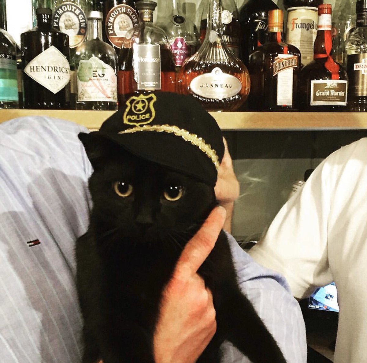 TheNewQuayInnBrixham tweet media