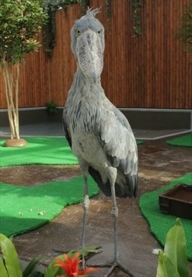 石田三成 Wikipediaで 石田三成 から ハシビロコウ までリンクで辿ってみたら3回で辿り着いたよ 石田三成 東京国立博物館 恩賜上野動物園 ハシビロコウ うぃきったー T Co Ocluftkavw まさかの愛刀 石田正宗が