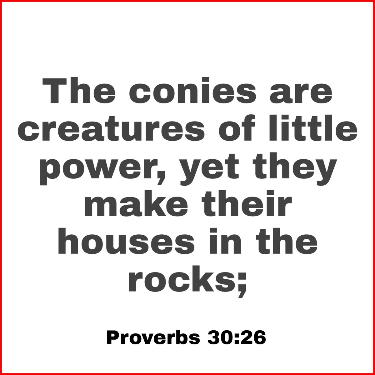 _breadoflife_'s tweet photo. Jesus is my Rock and my refuge!
#ThursdayMotivation https://t.co/mfK9wA6QDH