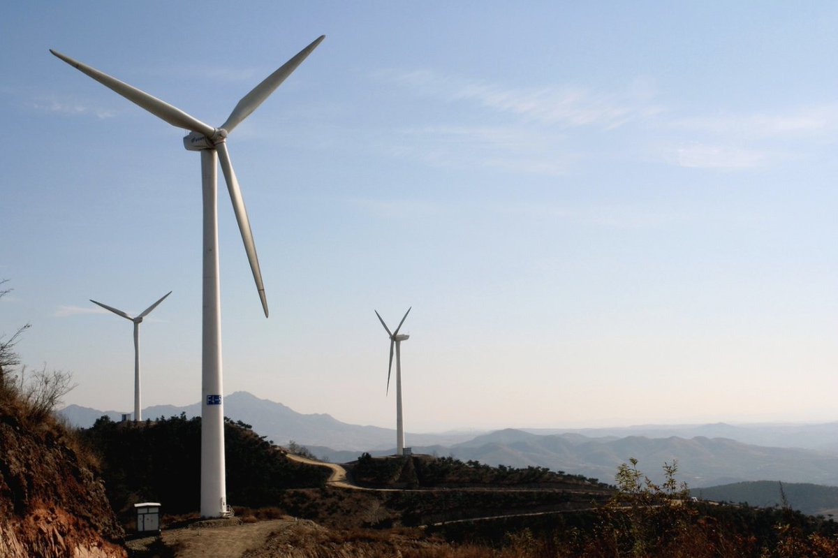 James Gow tweet media