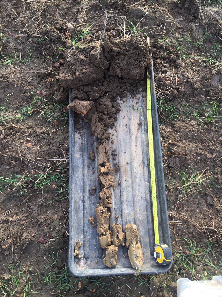 The_Barker_Boys's tweet photo. Interesting morning, started with a VESS for Local farmer benchmarking group. Setting group record with 71 worms from a single surface mustard extraction! Then talked water management with @NorfolkWildlife on better ways to manage water flow once drains have deposited into ditch https://t.co/jjEGS4colY