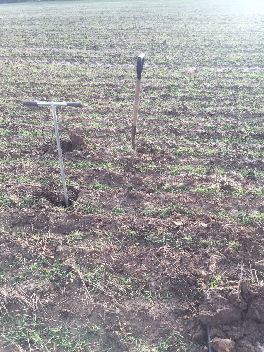 The_Barker_Boys's tweet photo. Interesting morning, started with a VESS for Local farmer benchmarking group. Setting group record with 71 worms from a single surface mustard extraction! Then talked water management with @NorfolkWildlife on better ways to manage water flow once drains have deposited into ditch https://t.co/jjEGS4colY