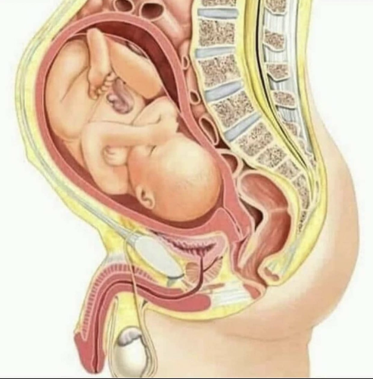 EOZ421aX4AAn2sv?format=jpg&name=large