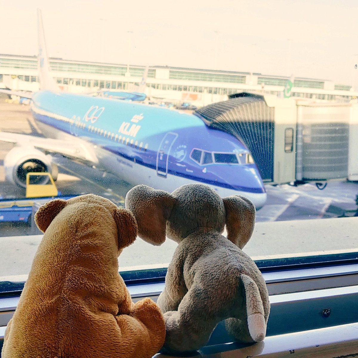 ToeterBeertje's tweet photo. On the nose of the plain it says that its name is Goose. It is going to take us to @edinburgh for some great new adventures! https://t.co/bXWbjVb0W5