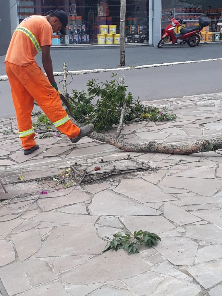 curtaramiro's tweet photo. #AlertaPOA | Além das nossas equipes de podas que trabalham ininterruptamente desde o temporal, registro meu reconhecimento e agradecimento às equipes de limpeza urbana que estão nas ruas recolhendo galhos menores e entulhos espalhados pela força dos ventos. https://t.co/kS5zQaAcvH
