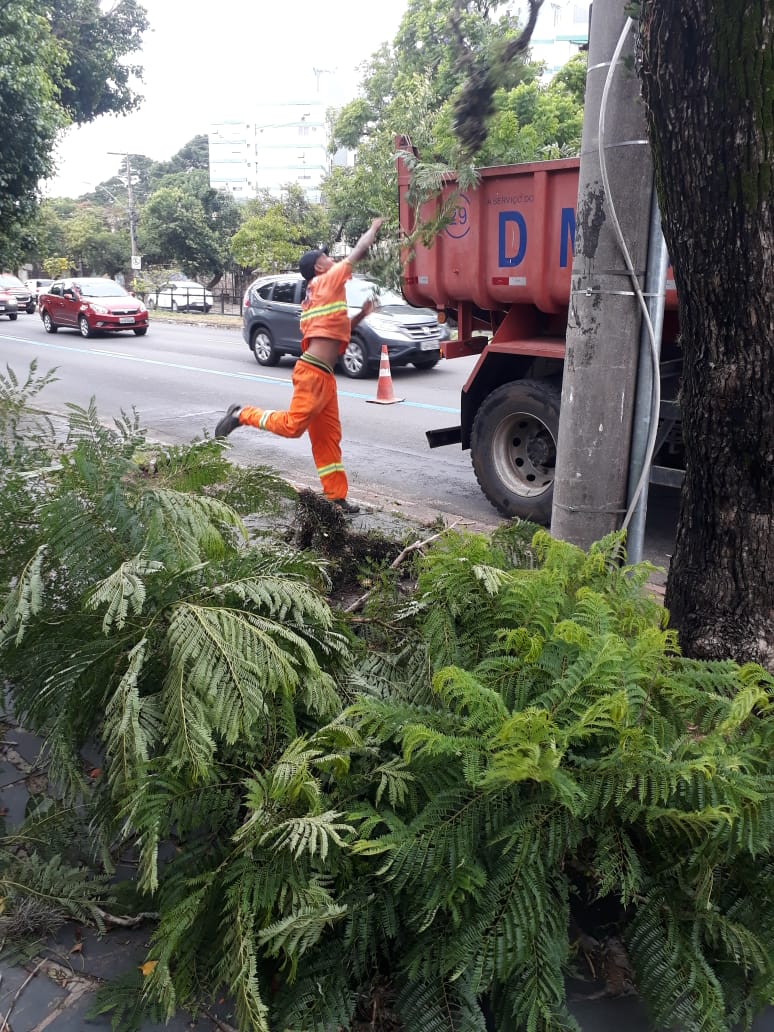 curtaramiro's tweet photo. #AlertaPOA | Além das nossas equipes de podas que trabalham ininterruptamente desde o temporal, registro meu reconhecimento e agradecimento às equipes de limpeza urbana que estão nas ruas recolhendo galhos menores e entulhos espalhados pela força dos ventos. https://t.co/kS5zQaAcvH